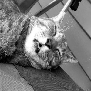 Meet your Posher, Jess